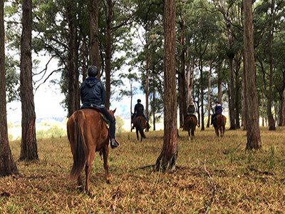 horse-riding